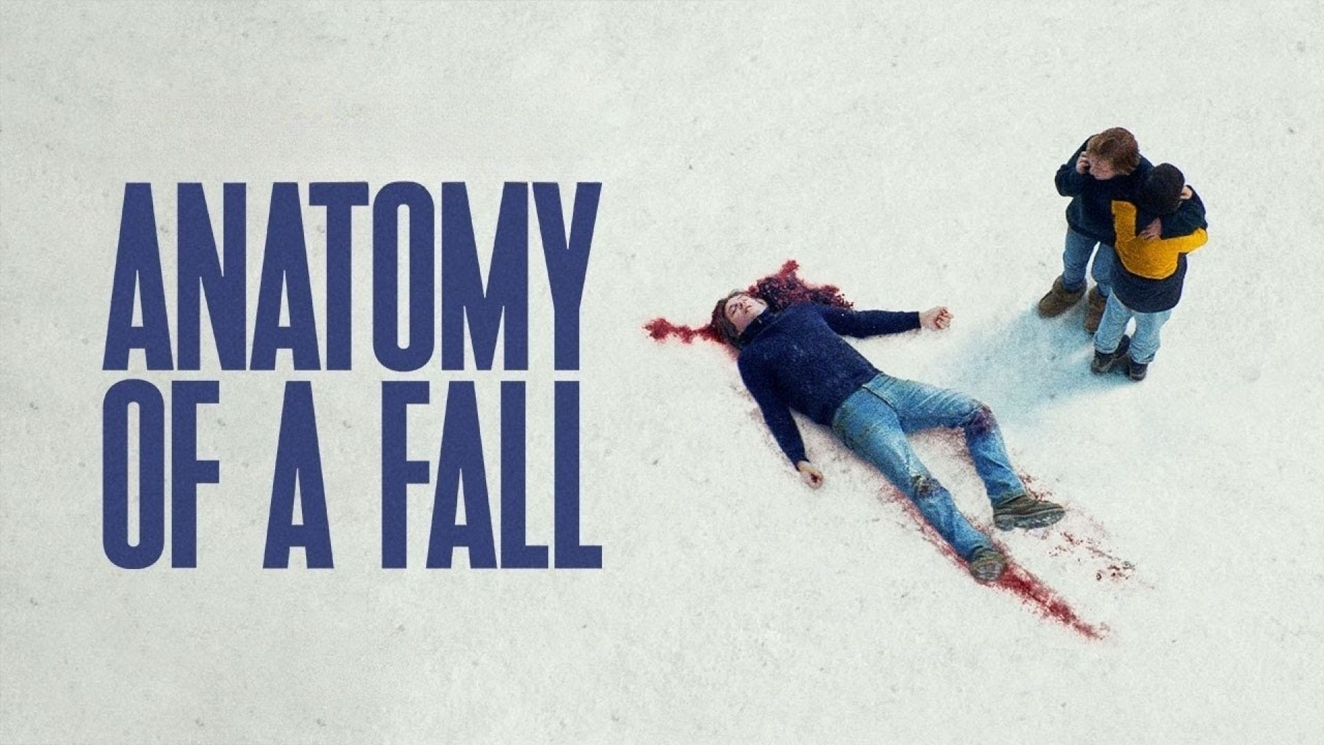 Anatomy of a Fall (2023) Dual Audio {Hindi-French} BluRay 480p