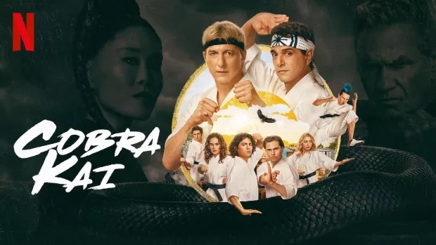 Cobra Kai (2024) S06 Dual Audio [Hindi-English] Netflix WEB-DL 480P